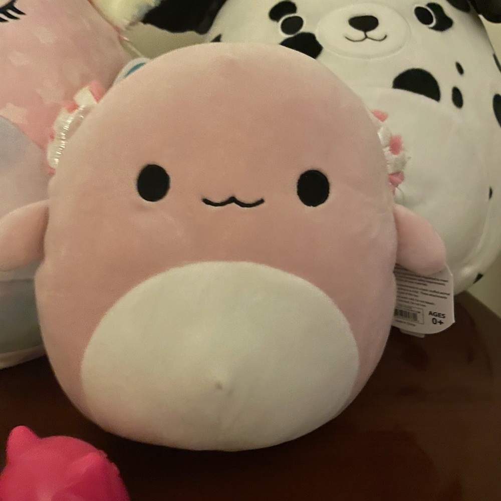 NWT Cracker Barrel Archie